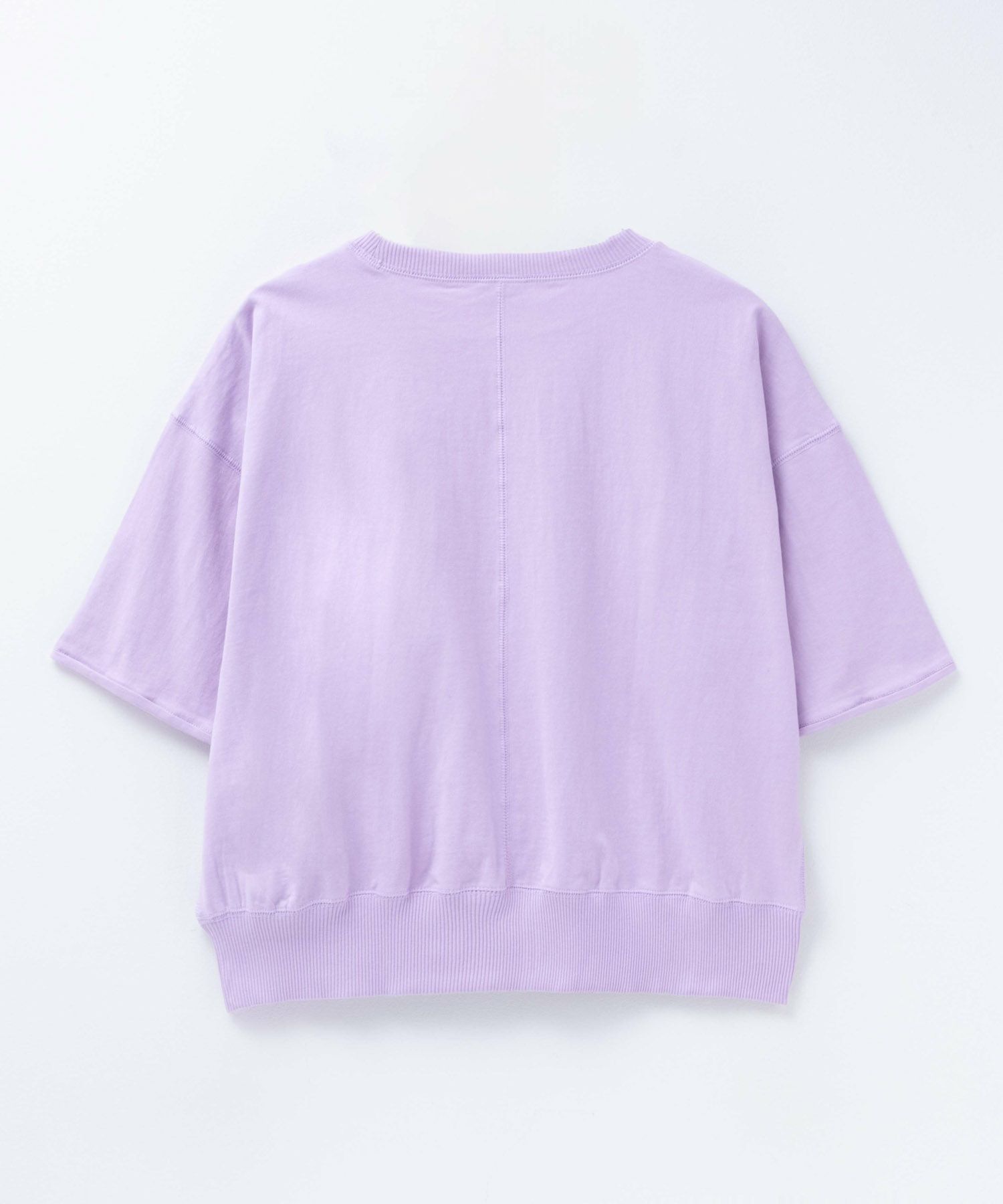 Dickies  配色ステッチ五分袖Tシャツ レディース メール便 対応商品商品画像-23