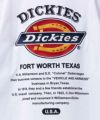 Dickies  グラフィックTシャツ メンズ商品サムネイル-17