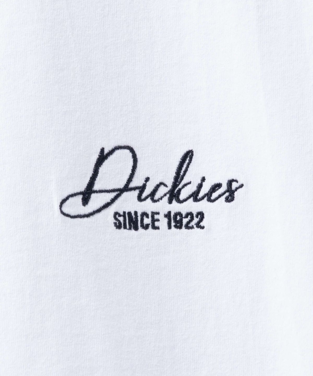 Dickies グラフィックTシャツ メンズ