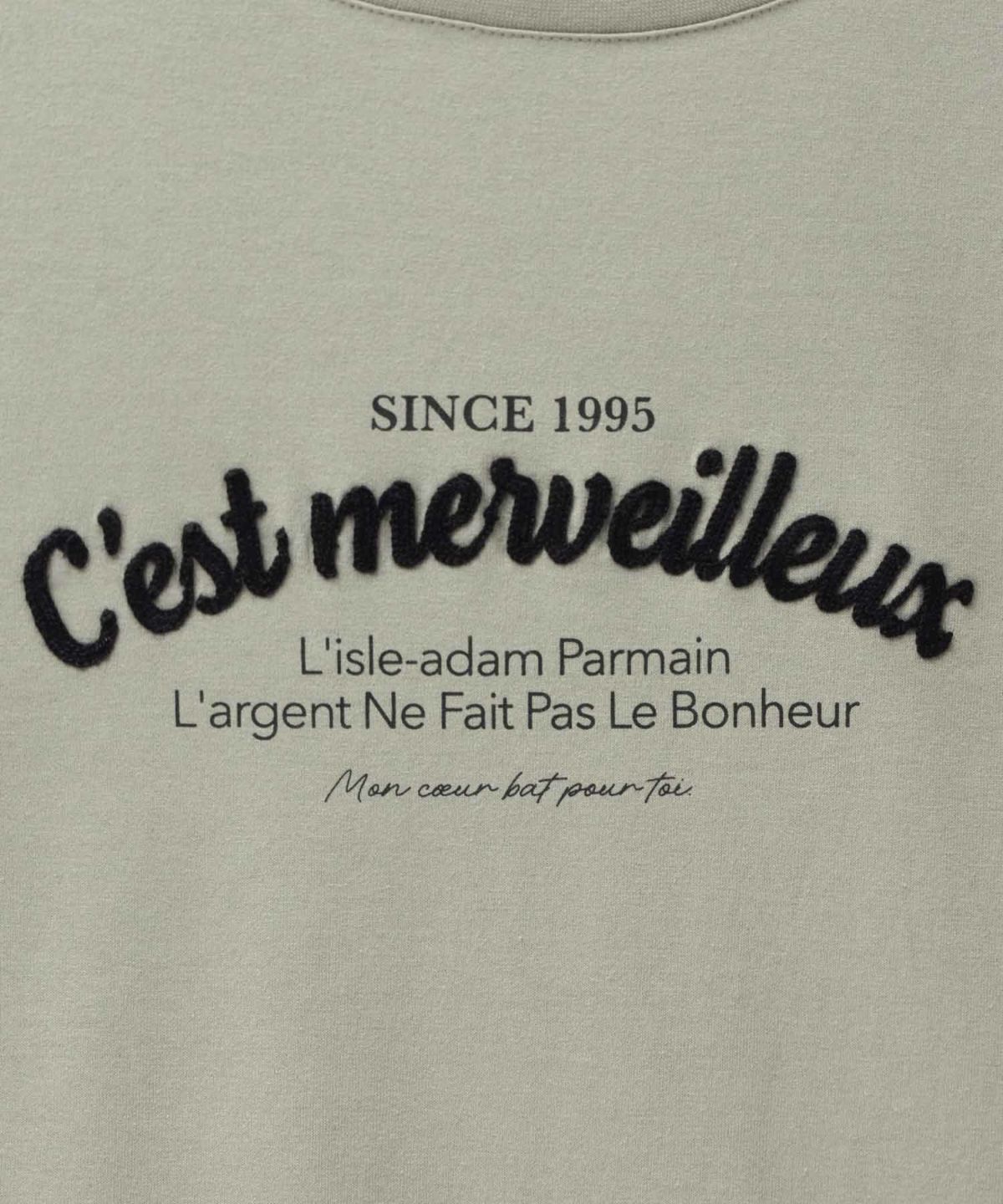 T-GRAPHICS ロゴ刺繍Tシャツ レディース ネコポス 対応商品