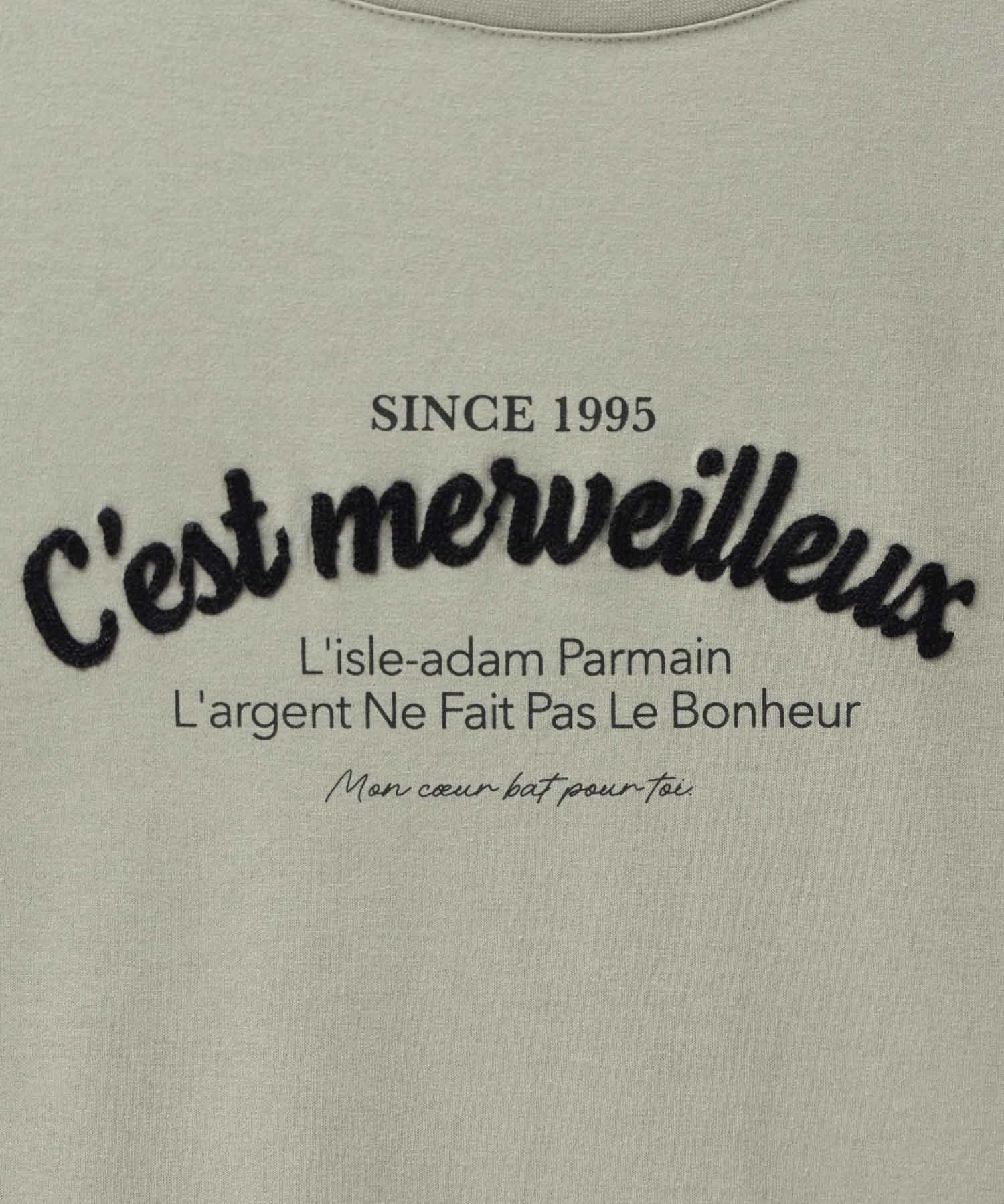 T-GRAPHICS ロゴ刺繍Tシャツ レディース ネコポス 対応商品