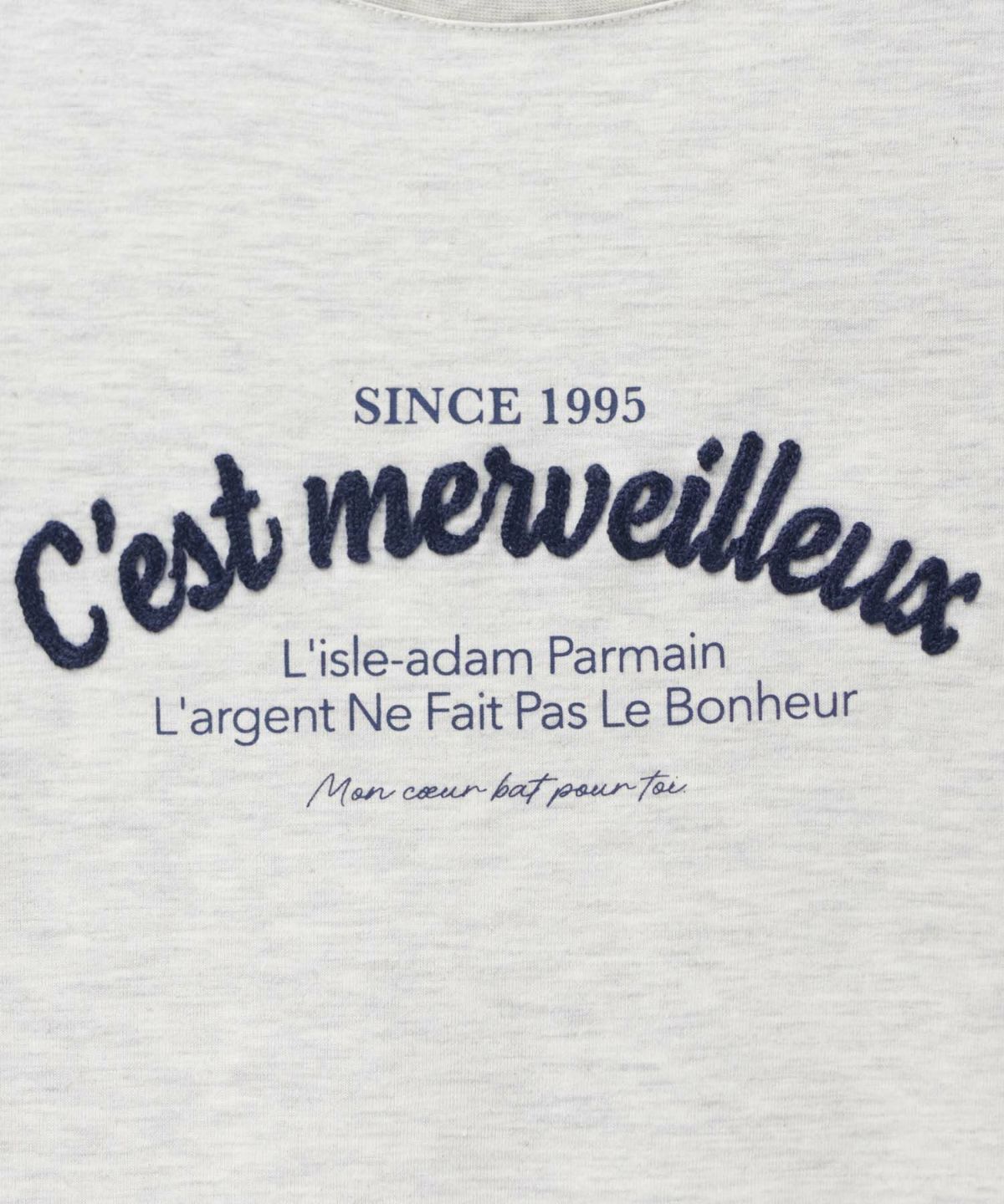 T-GRAPHICS ロゴ刺繍Tシャツ レディース ネコポス 対応商品