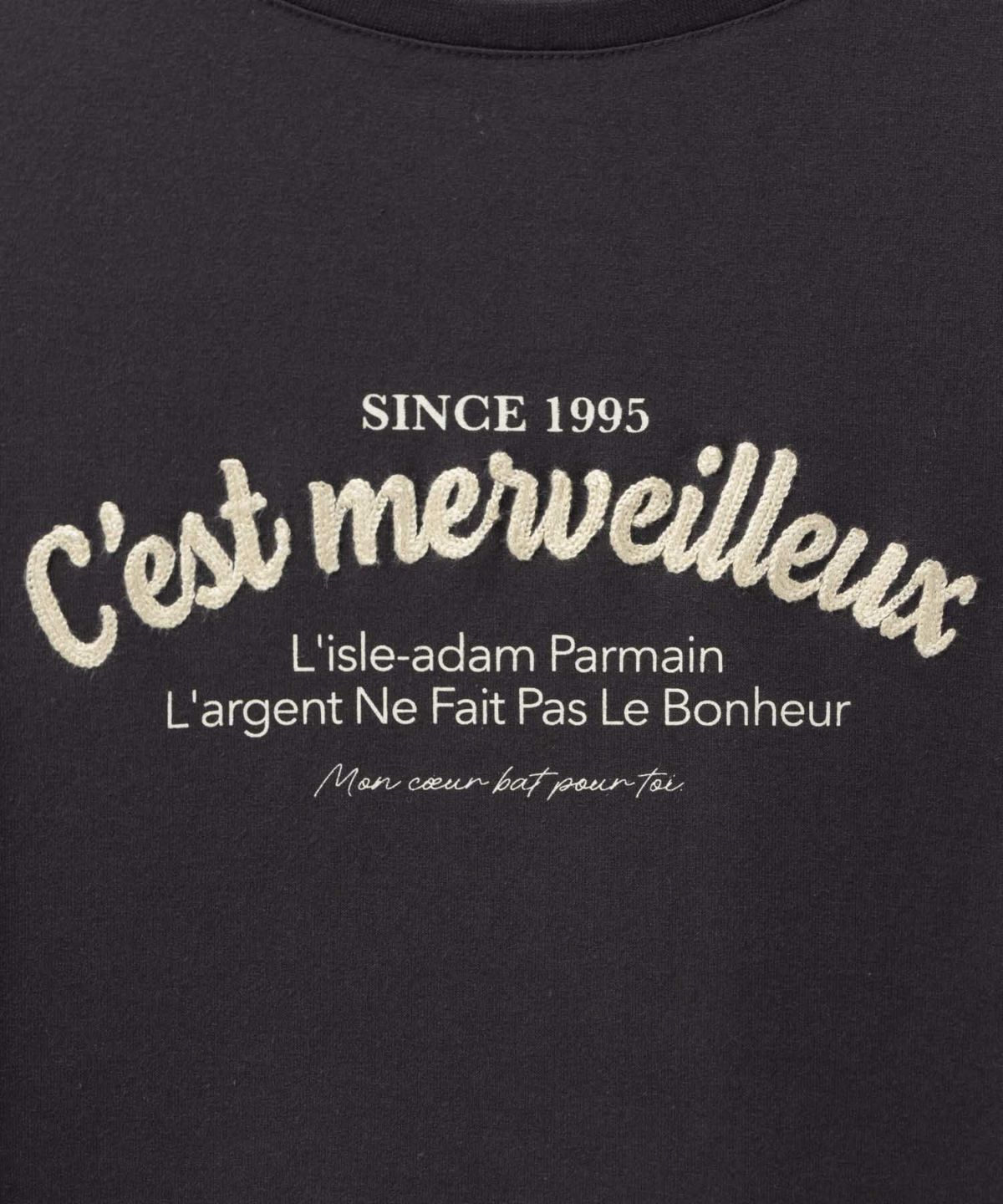 T-GRAPHICS ロゴ刺繍Tシャツ レディース ネコポス 対応商品