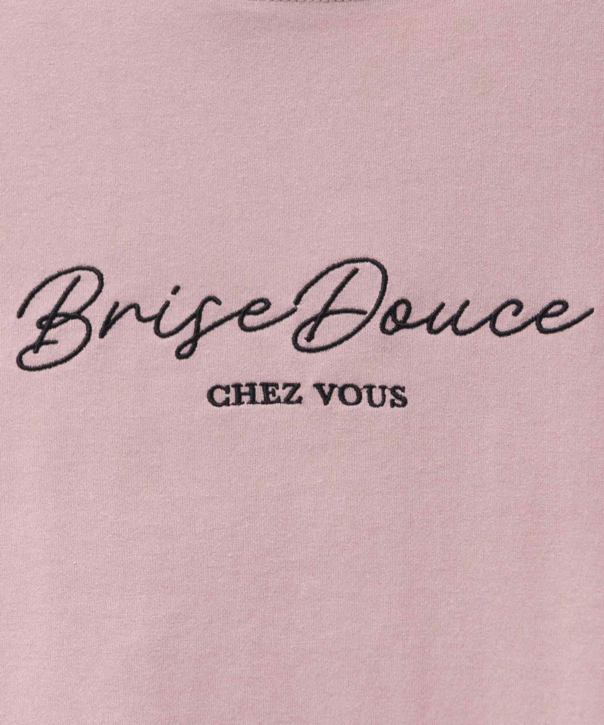 T-GRAPHICS ロゴ刺繍Tシャツ レディース ネコポス 対応商品