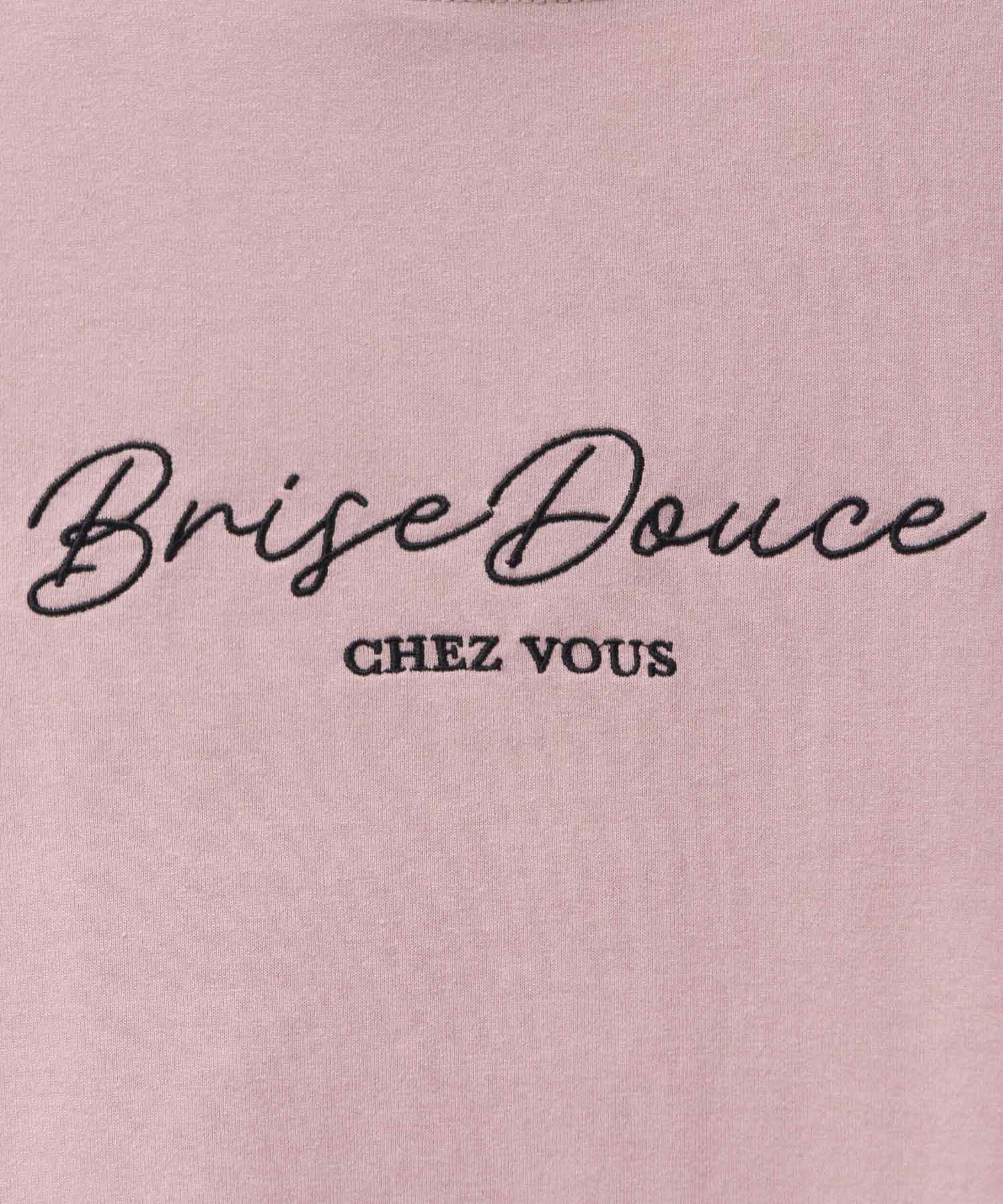 T-GRAPHICS ロゴ刺繍Tシャツ レディース ネコポス 対応商品