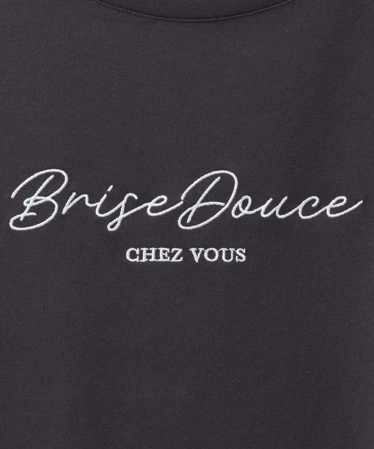 T-GRAPHICS ロゴ刺繍Tシャツ レディース ネコポス 対応商品