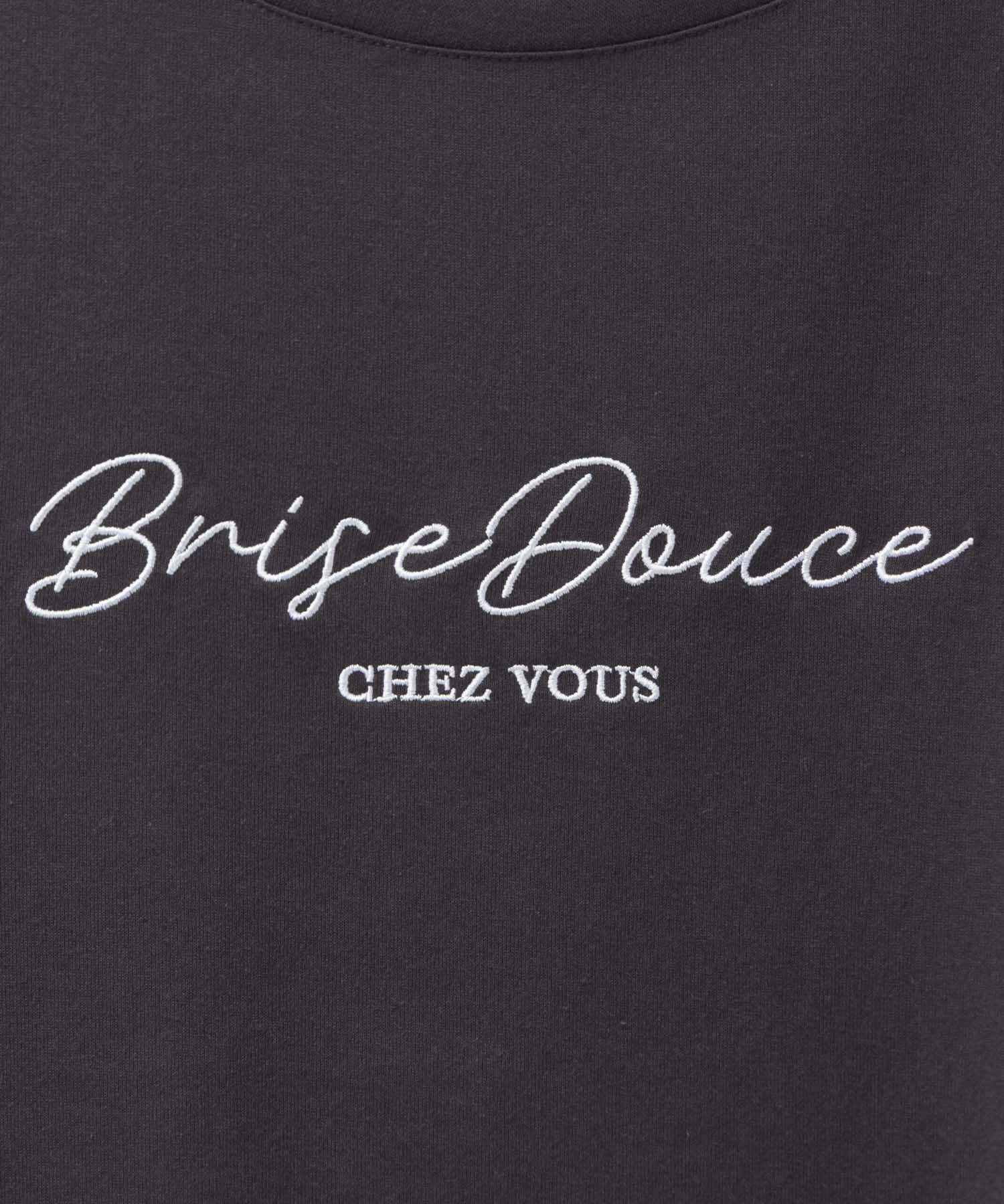 T-GRAPHICS ロゴ刺繍Tシャツ レディース ネコポス 対応商品