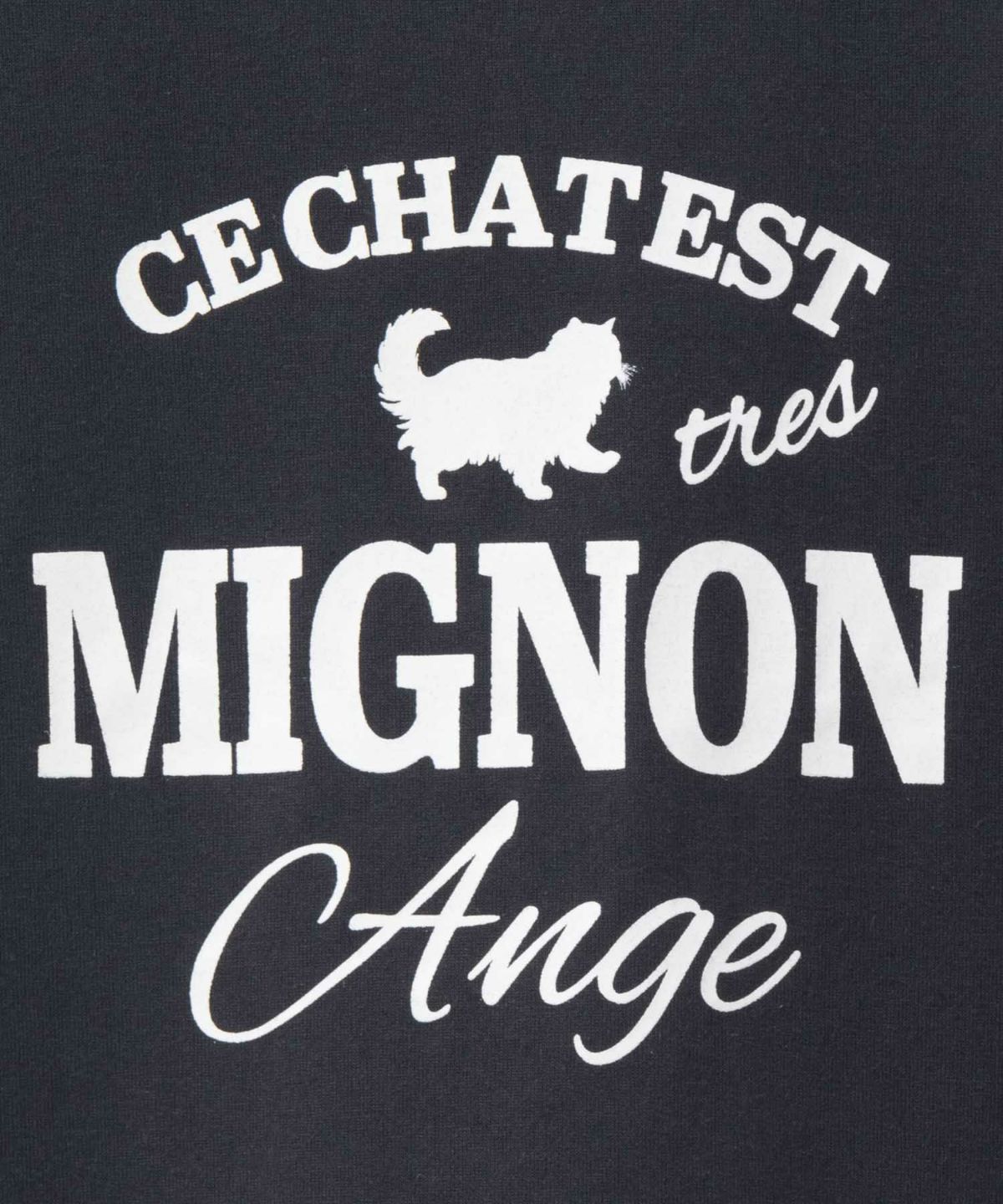 T-GRAPHICS ネコシルエットTシャツ レディース ネコポス 対応商品