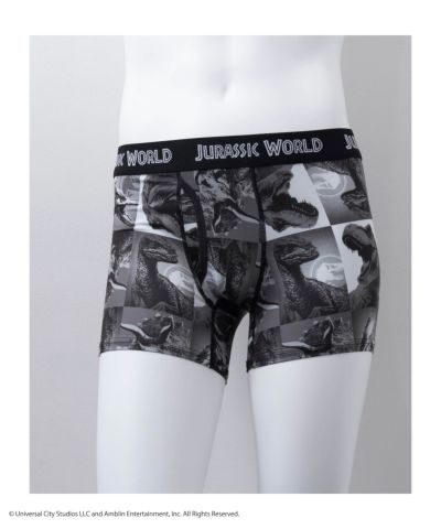 ジュラシック・ワールド ボクサーパンツ メンズ ネコポス 対応商品