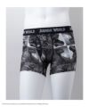 ジュラシック・ワールド ボクサーパンツ メンズ ネコポス 対応商品