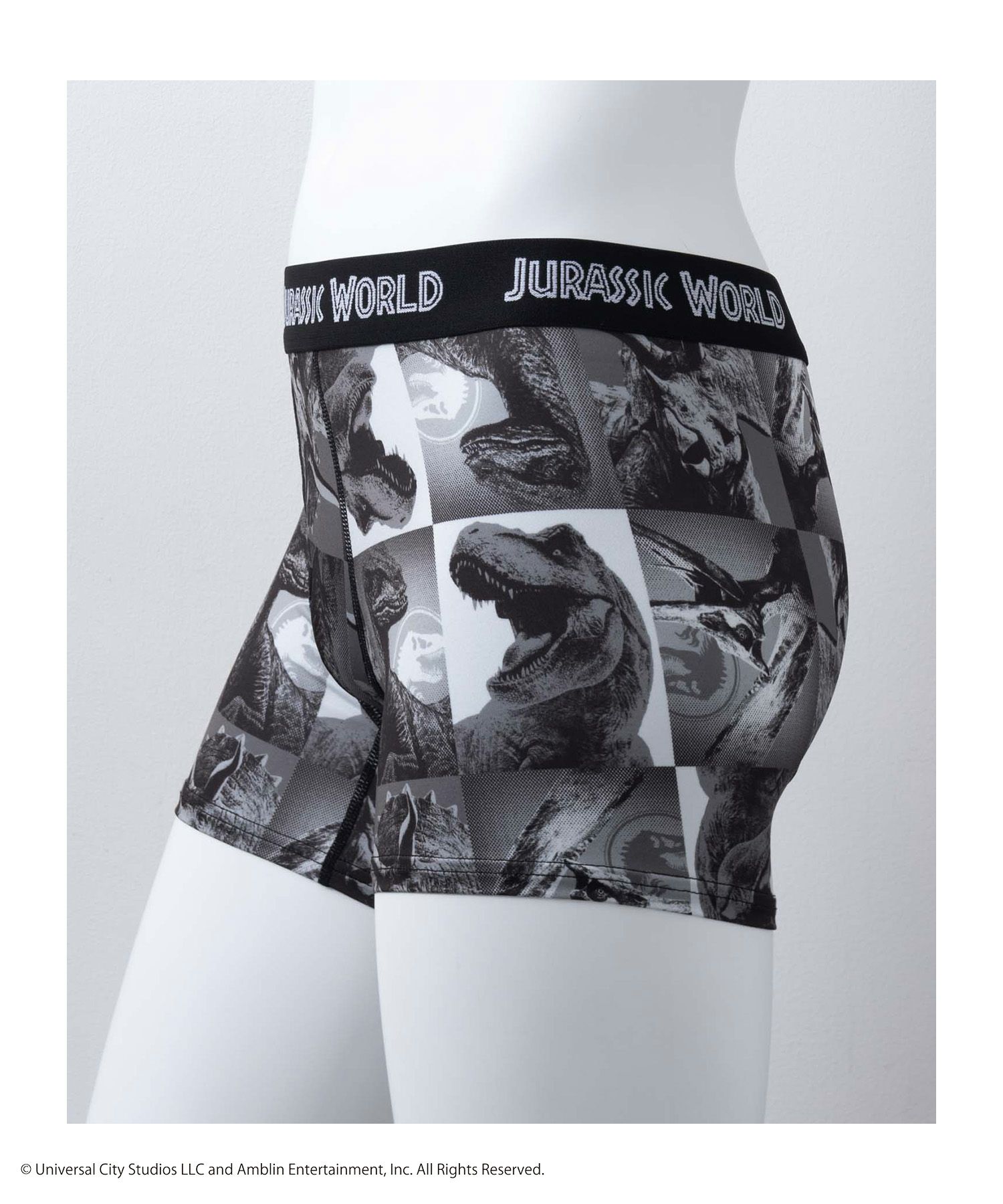 ジュラシック・ワールド ボクサーパンツ メンズ メール便 対応商品商品サムネイル-2