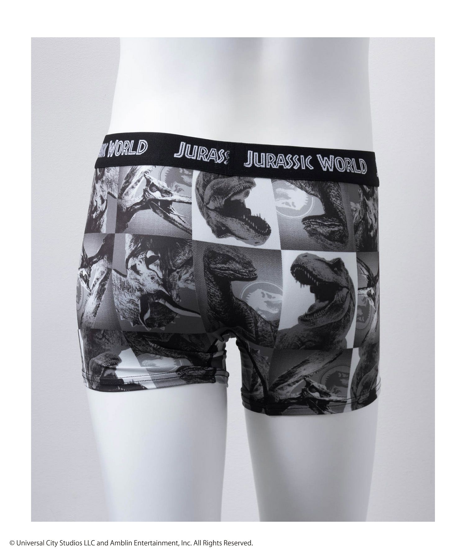 ジュラシック・ワールド ボクサーパンツ メンズ メール便 対応商品商品画像-3