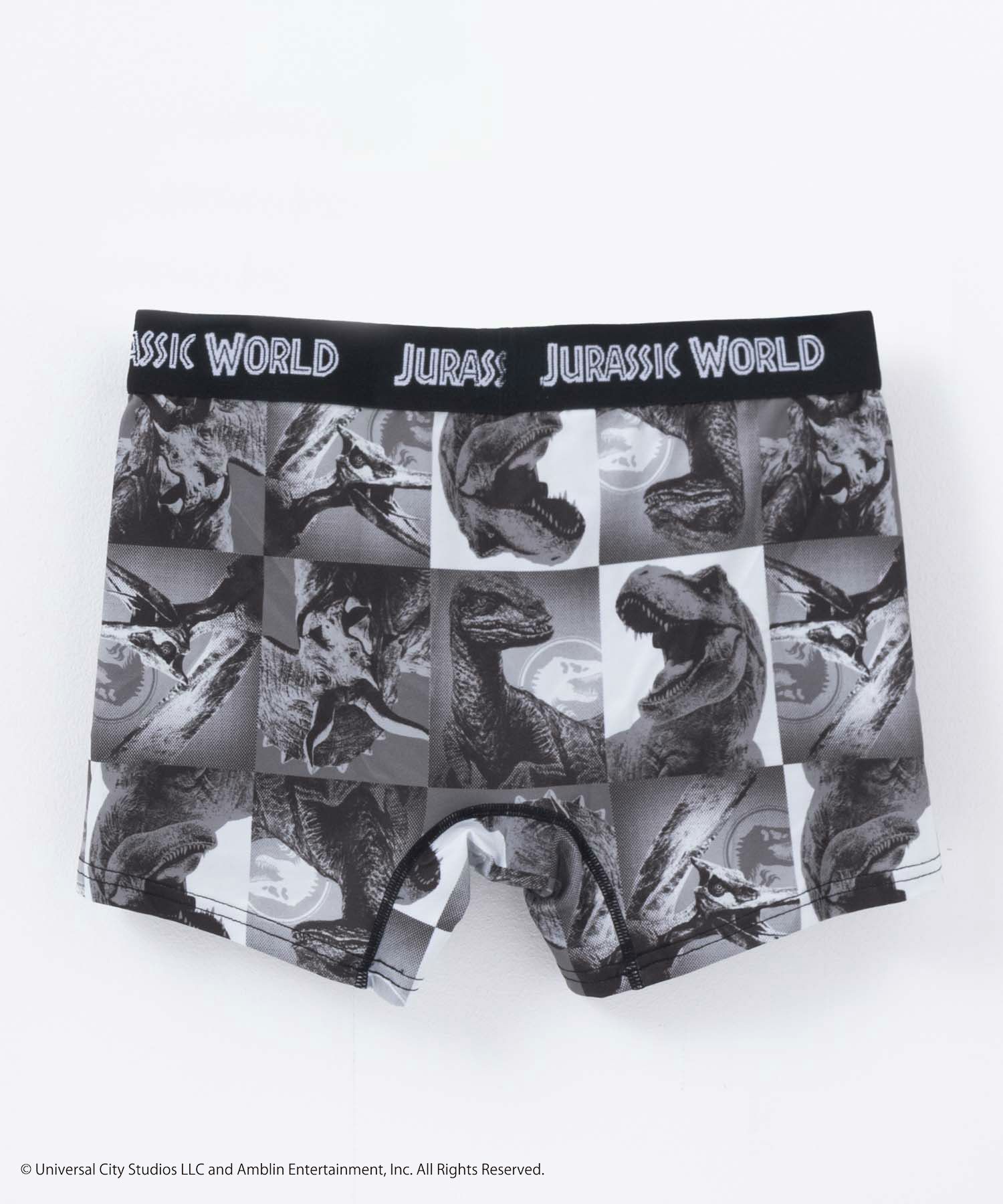 ジュラシック・ワールド ボクサーパンツ メンズ メール便 対応商品商品画像-5