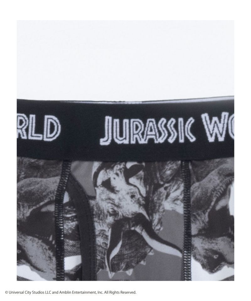 ジュラシック・ワールド ボクサーパンツ メンズ メール便 対応商品商品画像-6