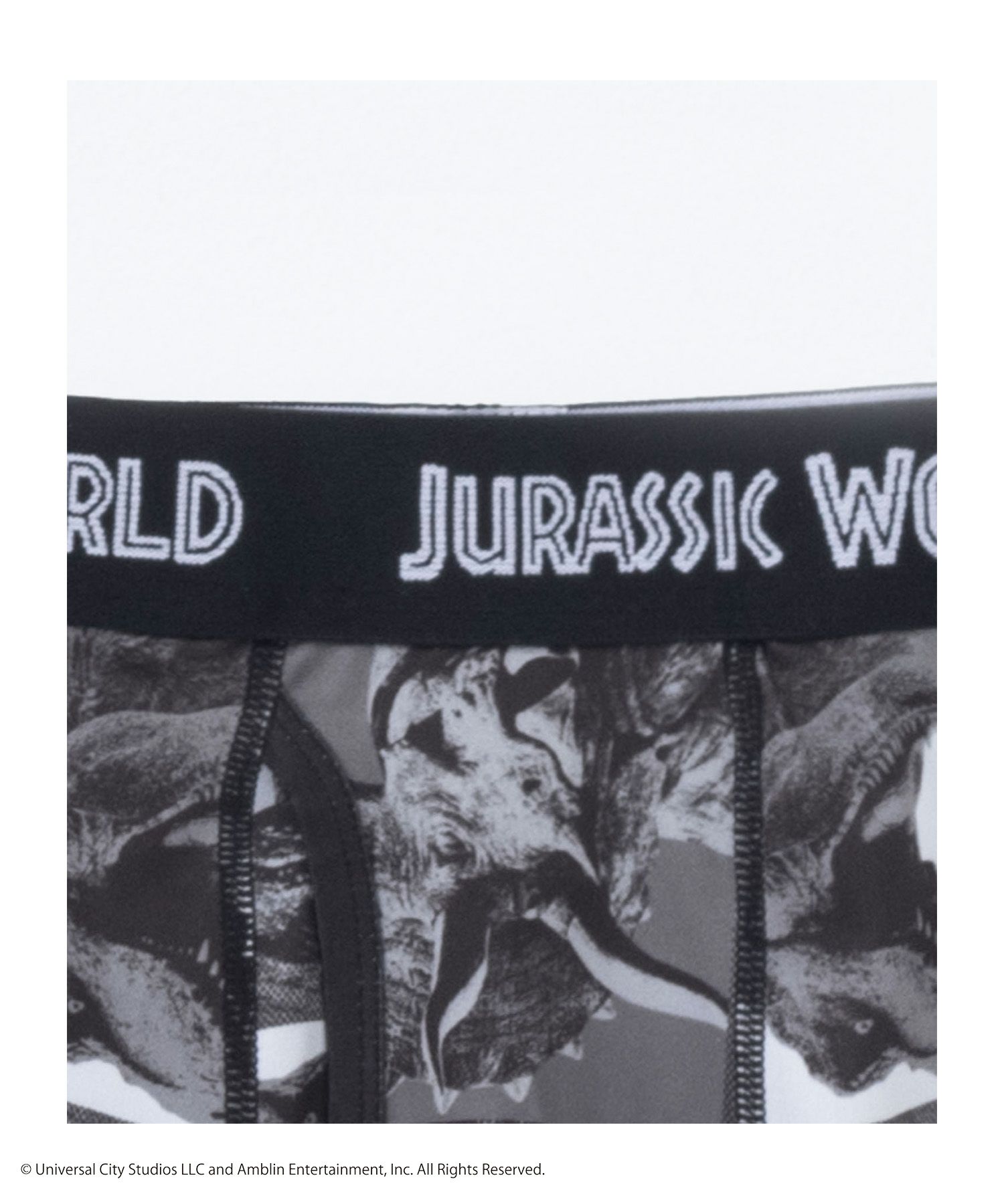 ジュラシック・ワールド ボクサーパンツ メンズ メール便 対応商品商品サムネイル-6