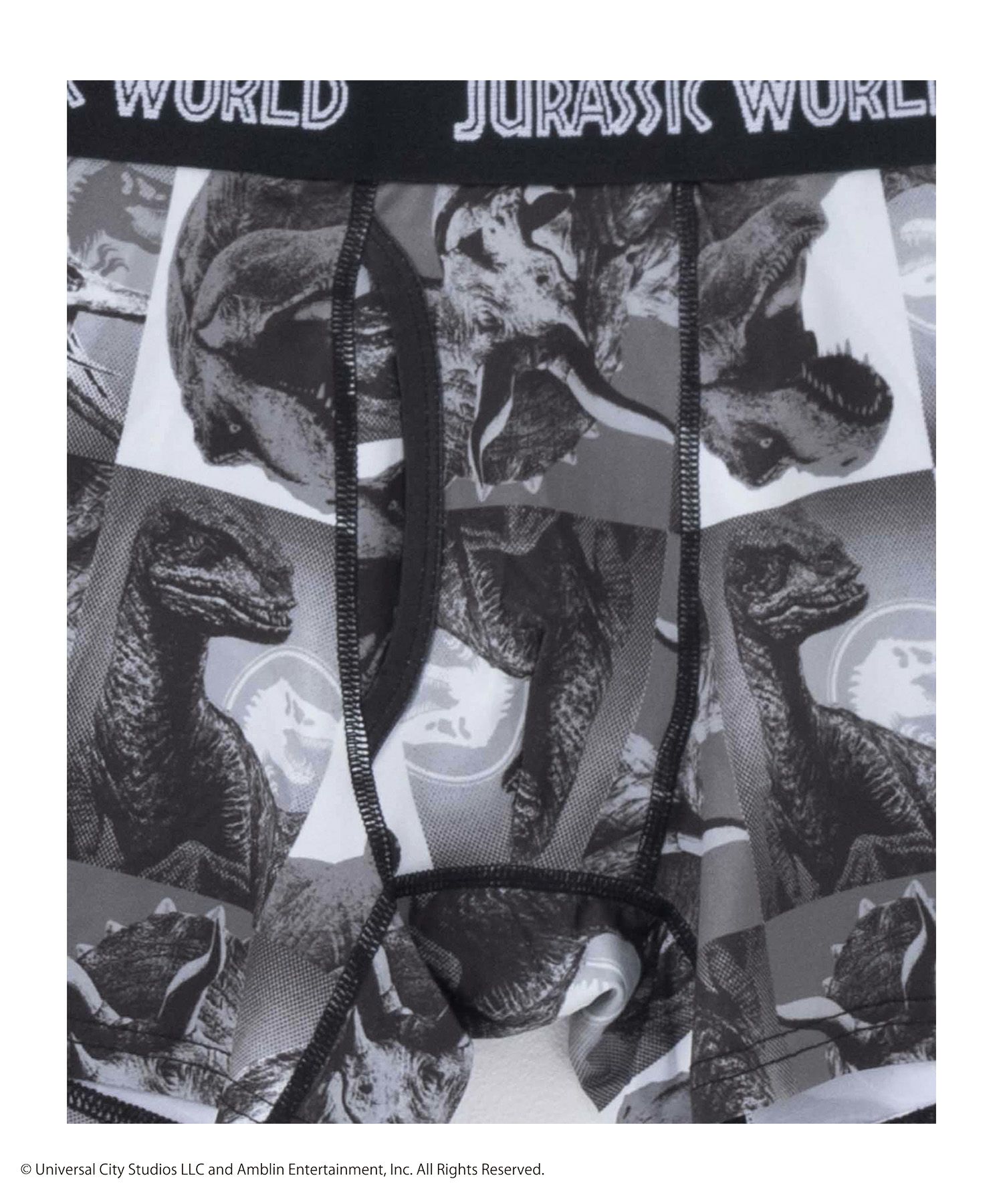 ジュラシック・ワールド ボクサーパンツ メンズ メール便 対応商品商品サムネイル-7