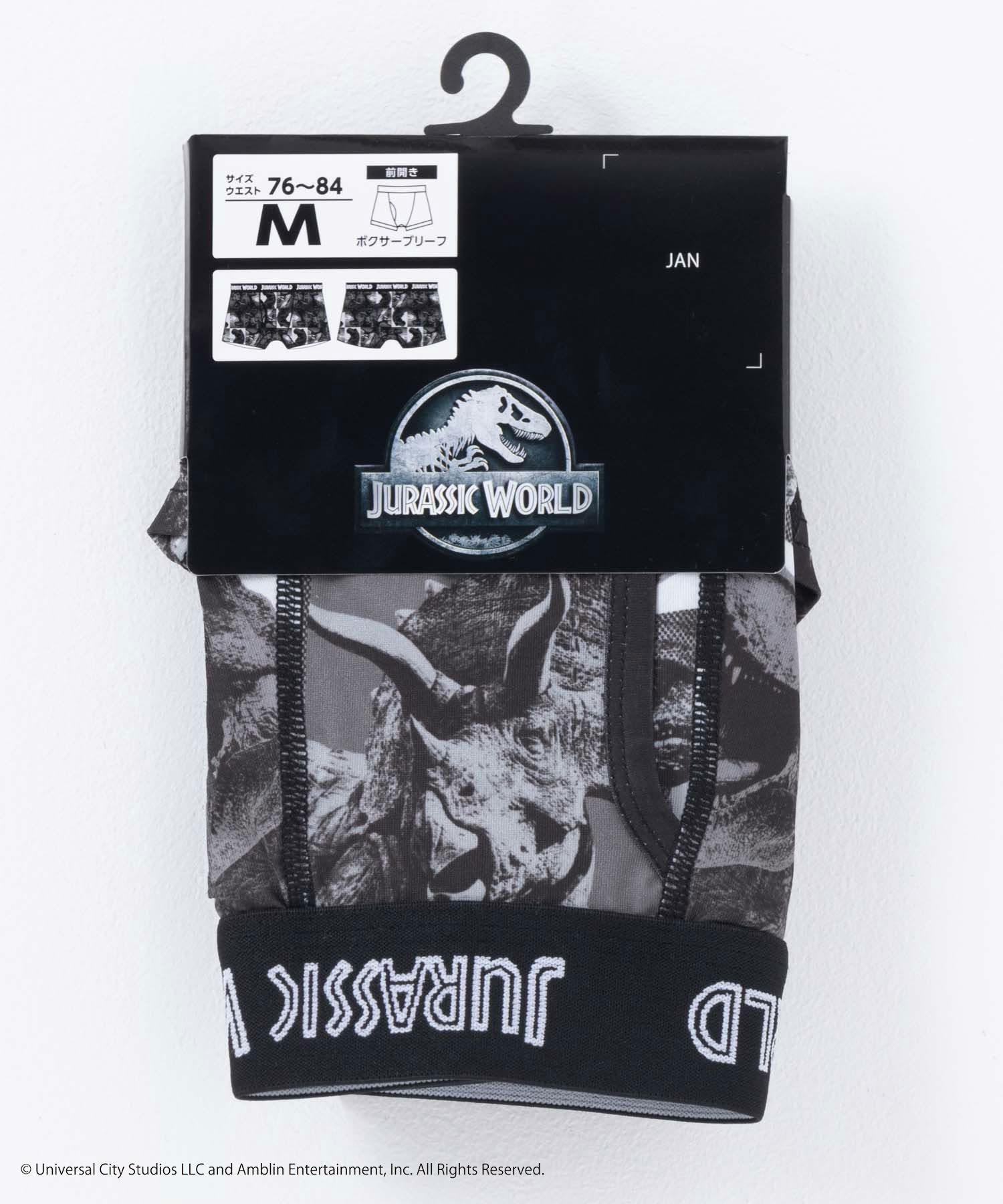 ジュラシック・ワールド ボクサーパンツ メンズ メール便 対応商品商品画像-9