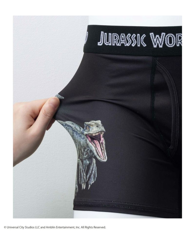 ジュラシック・ワールド ボクサーパンツ メンズ