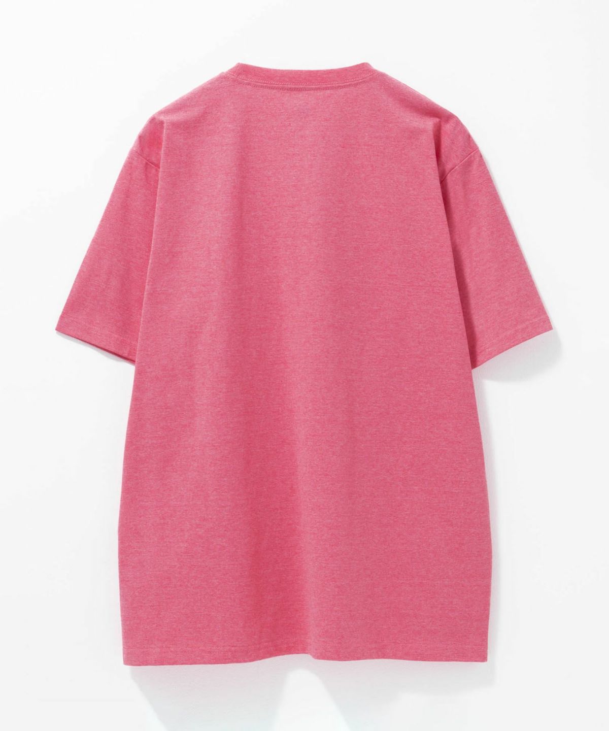 T-GRAPHICS カレッジロゴ半袖Tシャツ メンズ ネコポス 対応商品