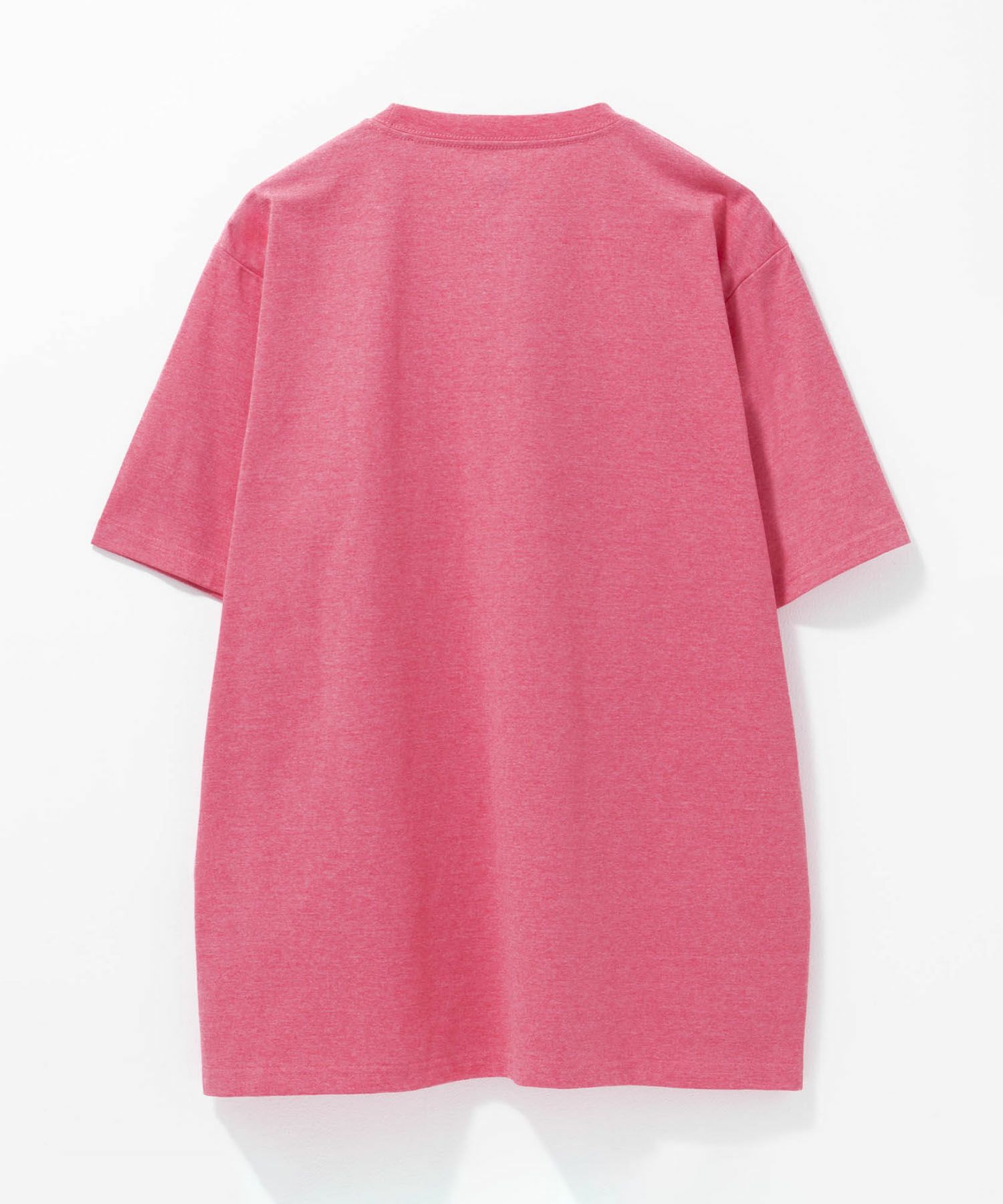 T-GRAPHICS カレッジロゴ半袖Tシャツ メンズ ネコポス 対応商品