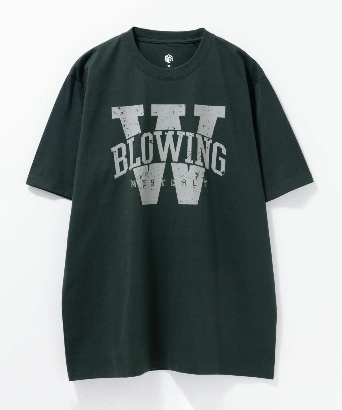 T-GRAPHICS カレッジロゴ半袖Tシャツ メンズ ネコポス 対応商品