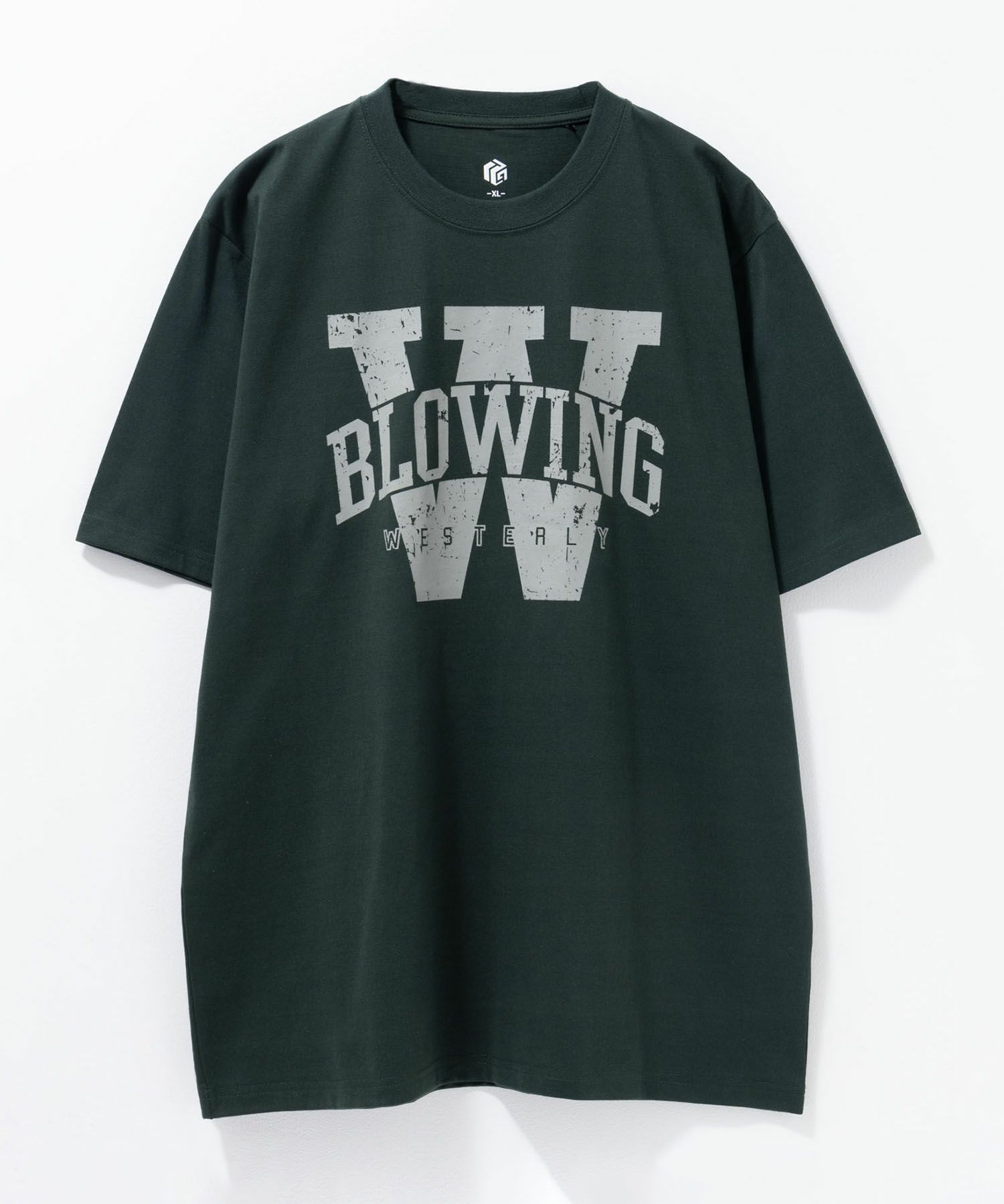 T-GRAPHICS カレッジロゴ半袖Tシャツ メンズ ネコポス 対応商品