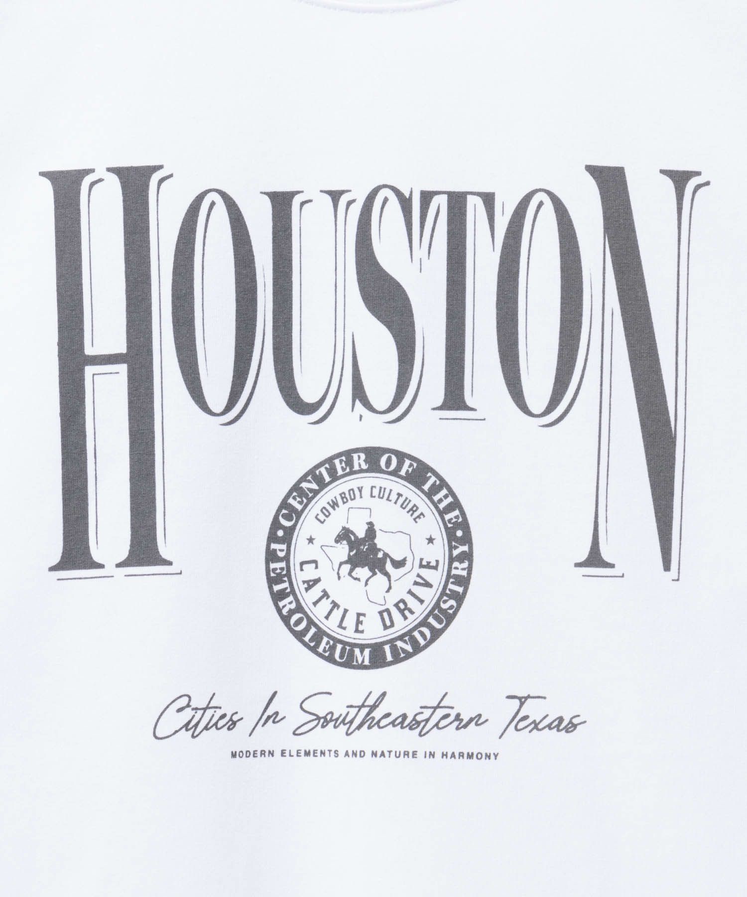 T-GRAPHICS  カレッジロゴ半袖Tシャツ メンズ メール便 対応商品商品画像-16