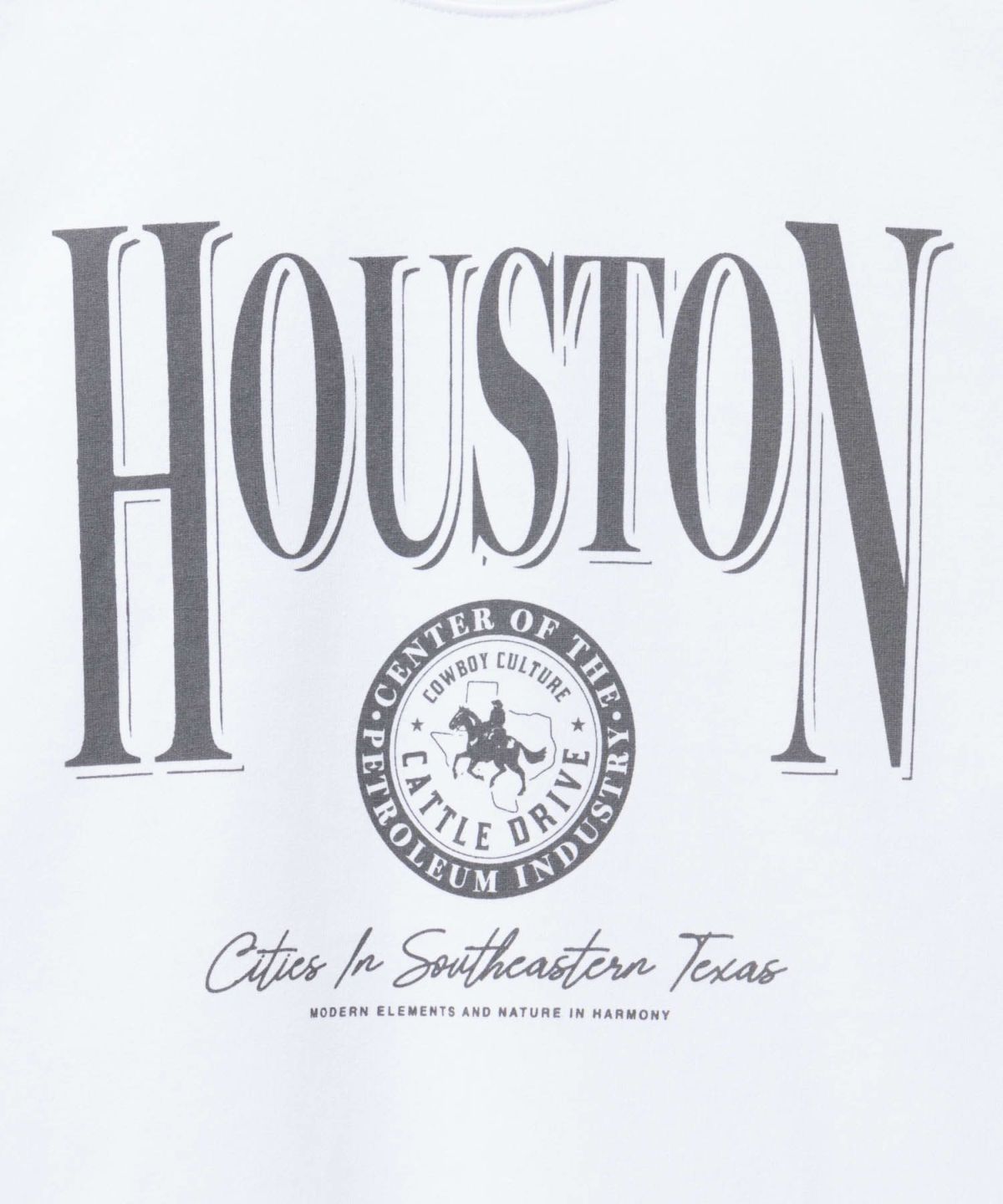 T-GRAPHICS カレッジロゴ半袖Tシャツ メンズ ネコポス 対応商品