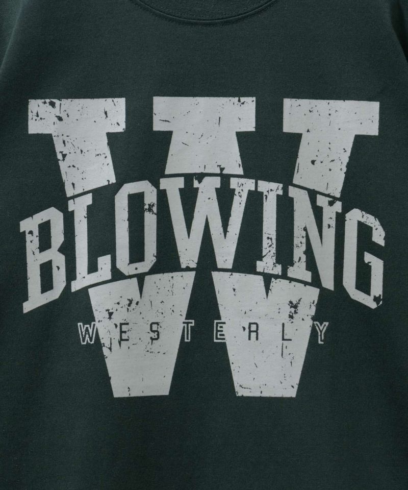 T-GRAPHICS  カレッジロゴ半袖Tシャツ メンズ メール便 対応商品商品画像-19