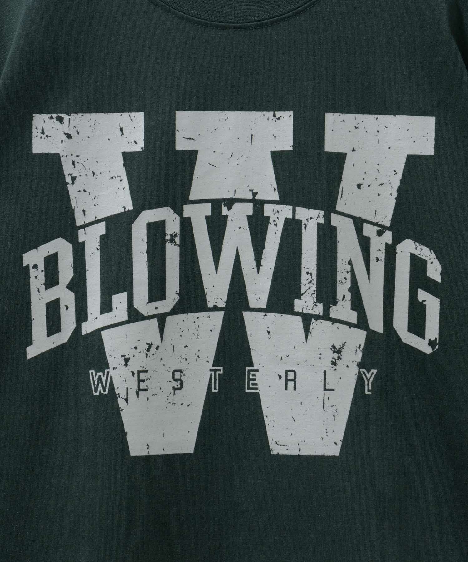 T-GRAPHICS  カレッジロゴ半袖Tシャツ メンズ メール便 対応商品商品画像-19