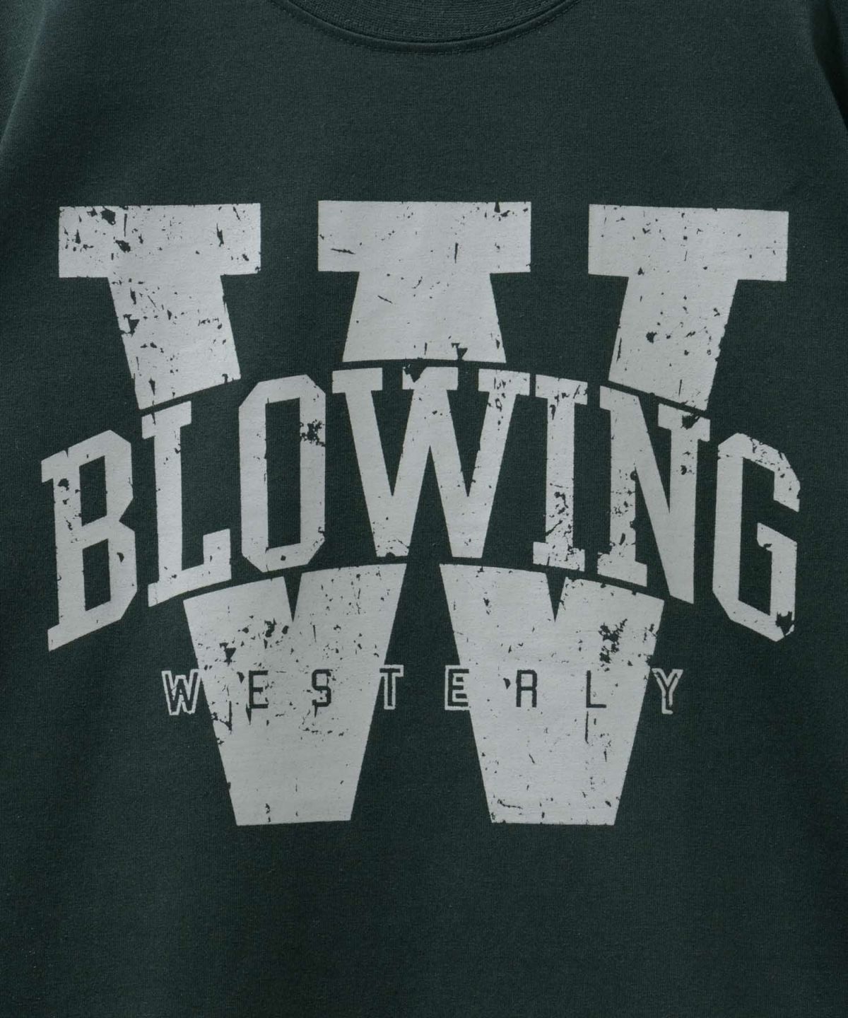 T-GRAPHICS カレッジロゴ半袖Tシャツ メンズ ネコポス 対応商品