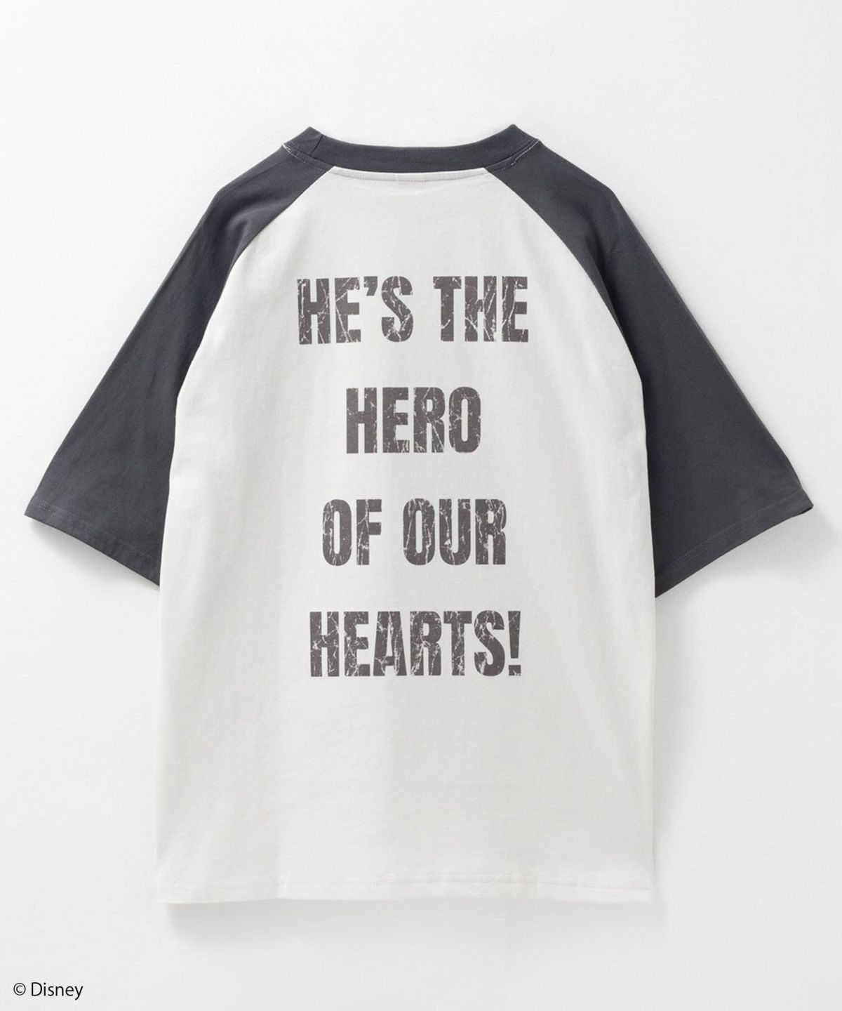 Disney ミッキーマウス / プリントTシャツ メンズ ネコポス 対応商品