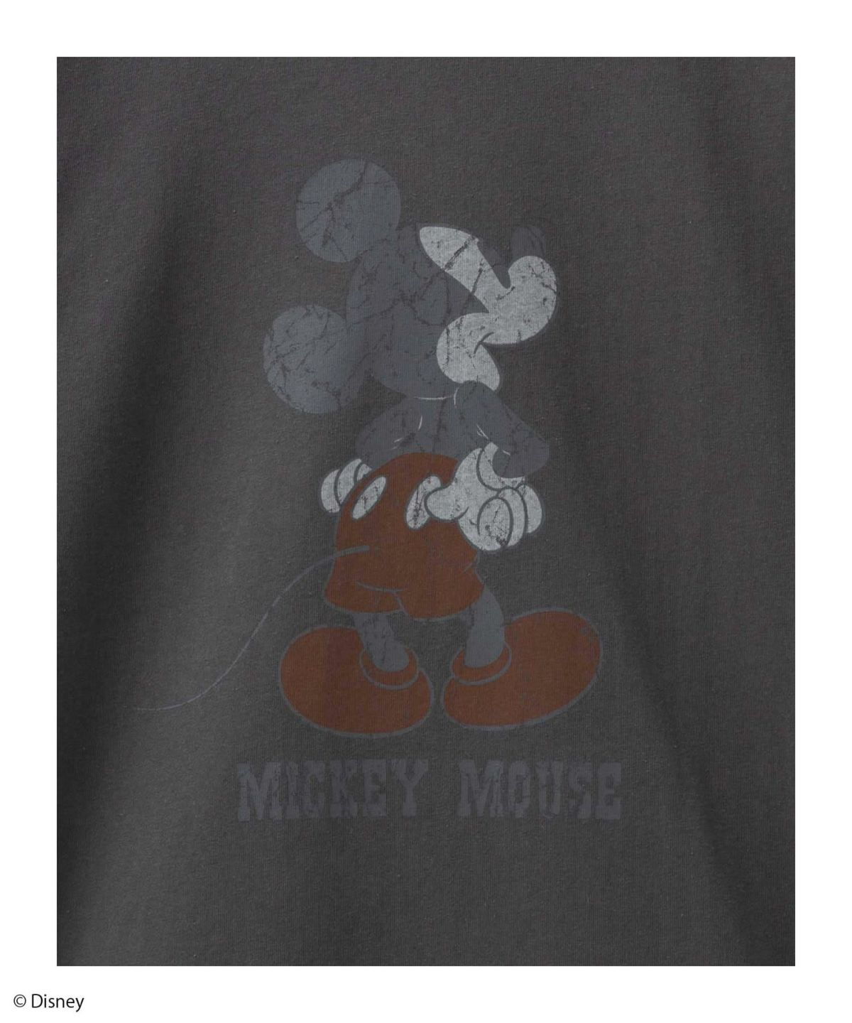 Disney ミッキーマウス / プリントTシャツ メンズ ネコポス 対応商品