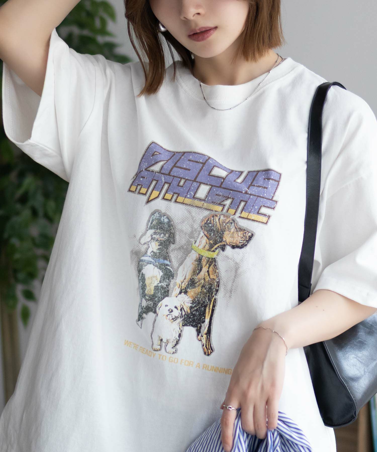 DISCUS プリントビッグTシャツ 犬 レディース ネコポス 対応商品