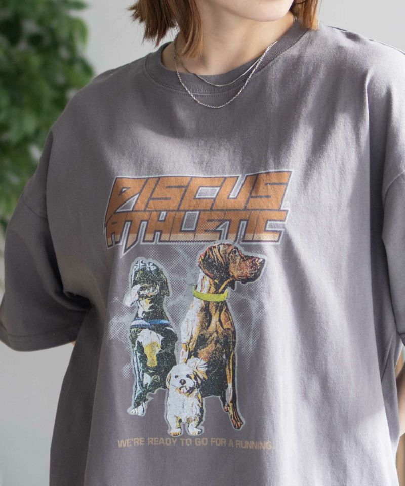 DISCUS プリントビッグTシャツ 犬 レディース メール便 対応商品商品画像-3