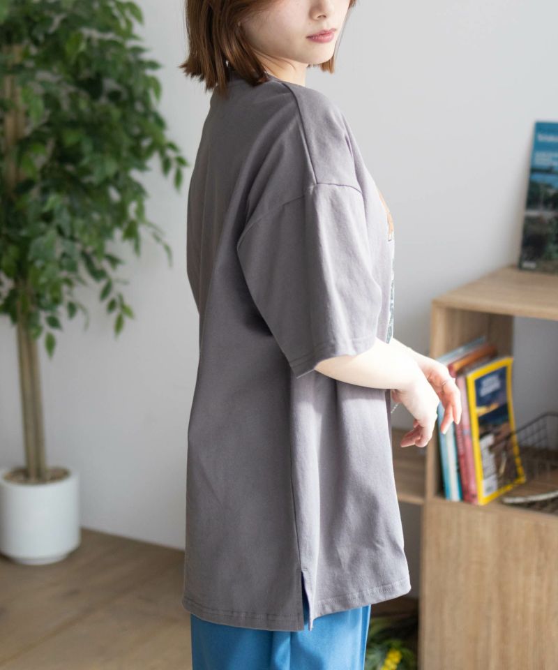 DISCUS プリントビッグTシャツ 犬 レディース メール便 対応商品商品画像-7