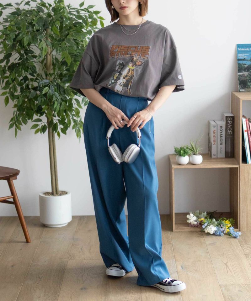 DISCUS プリントビッグTシャツ 犬 レディース メール便 対応商品商品画像-9