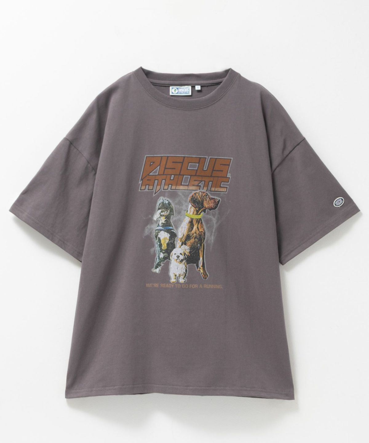DISCUS プリントビッグTシャツ 犬 レディース ネコポス 対応商品