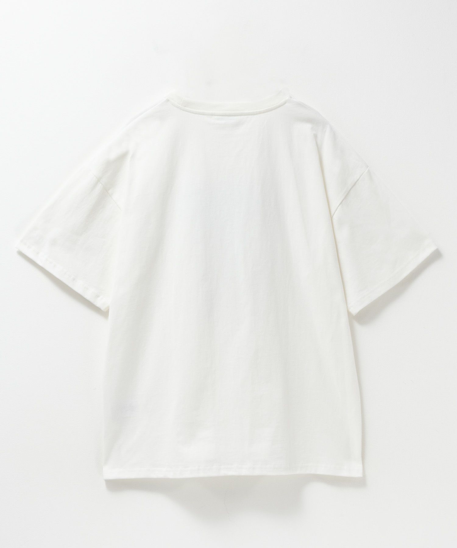 DISCUS プリントビッグTシャツ 犬 レディース ネコポス 対応商品