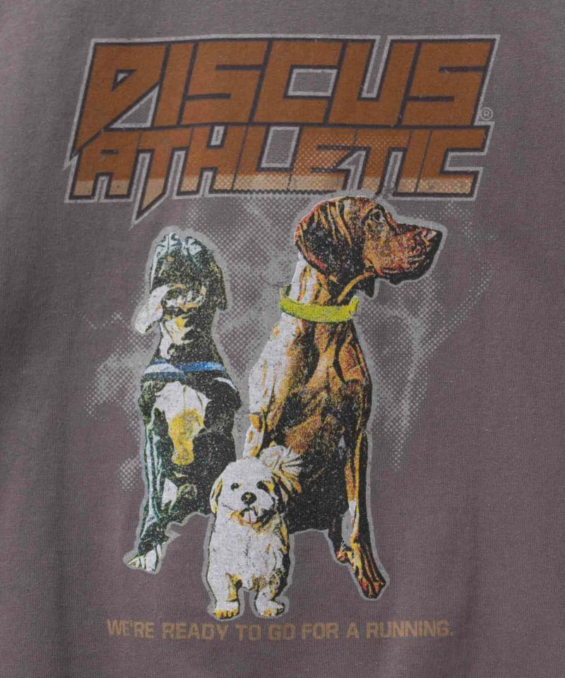 DISCUS  プリントビッグTシャツ 犬 レディース メール便 対応商品商品画像-19