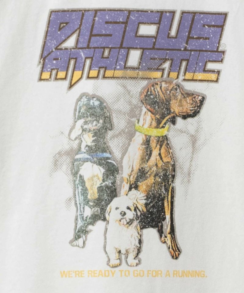 DISCUS  プリントビッグTシャツ 犬 レディース メール便 対応商品商品画像-20