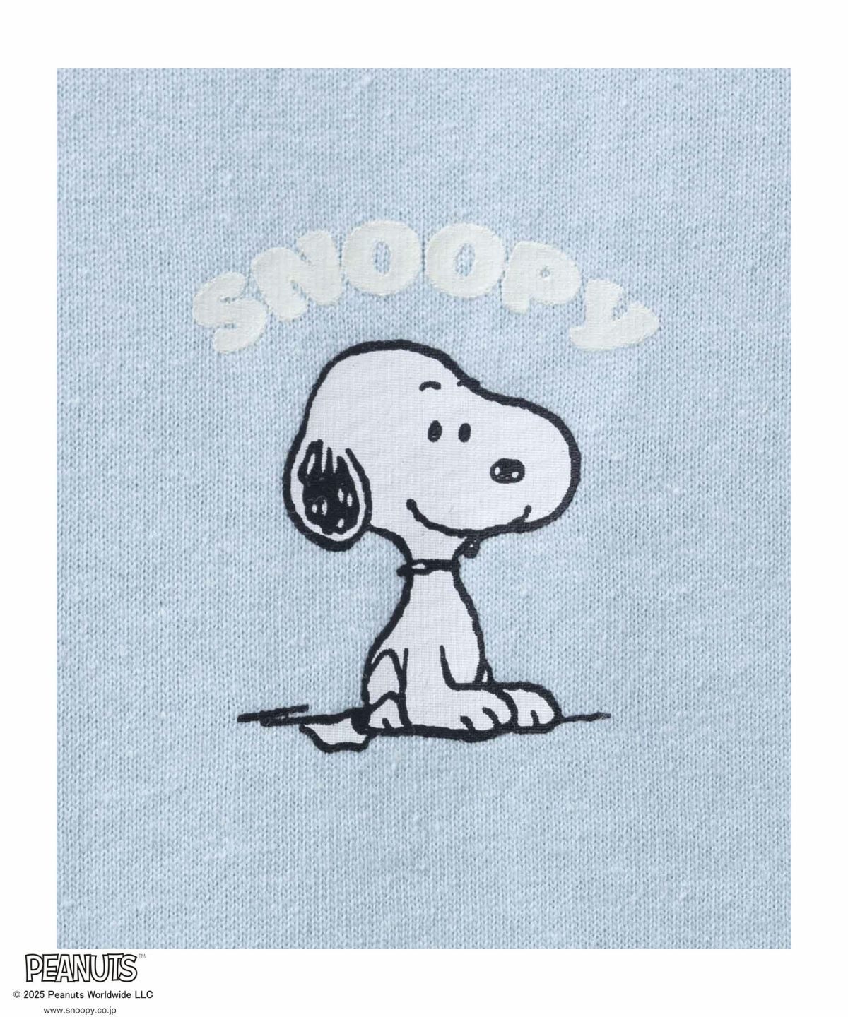 PEANUTS SNOOPY 刺繍プリントTシャツ レディース ネコポス 対応商品