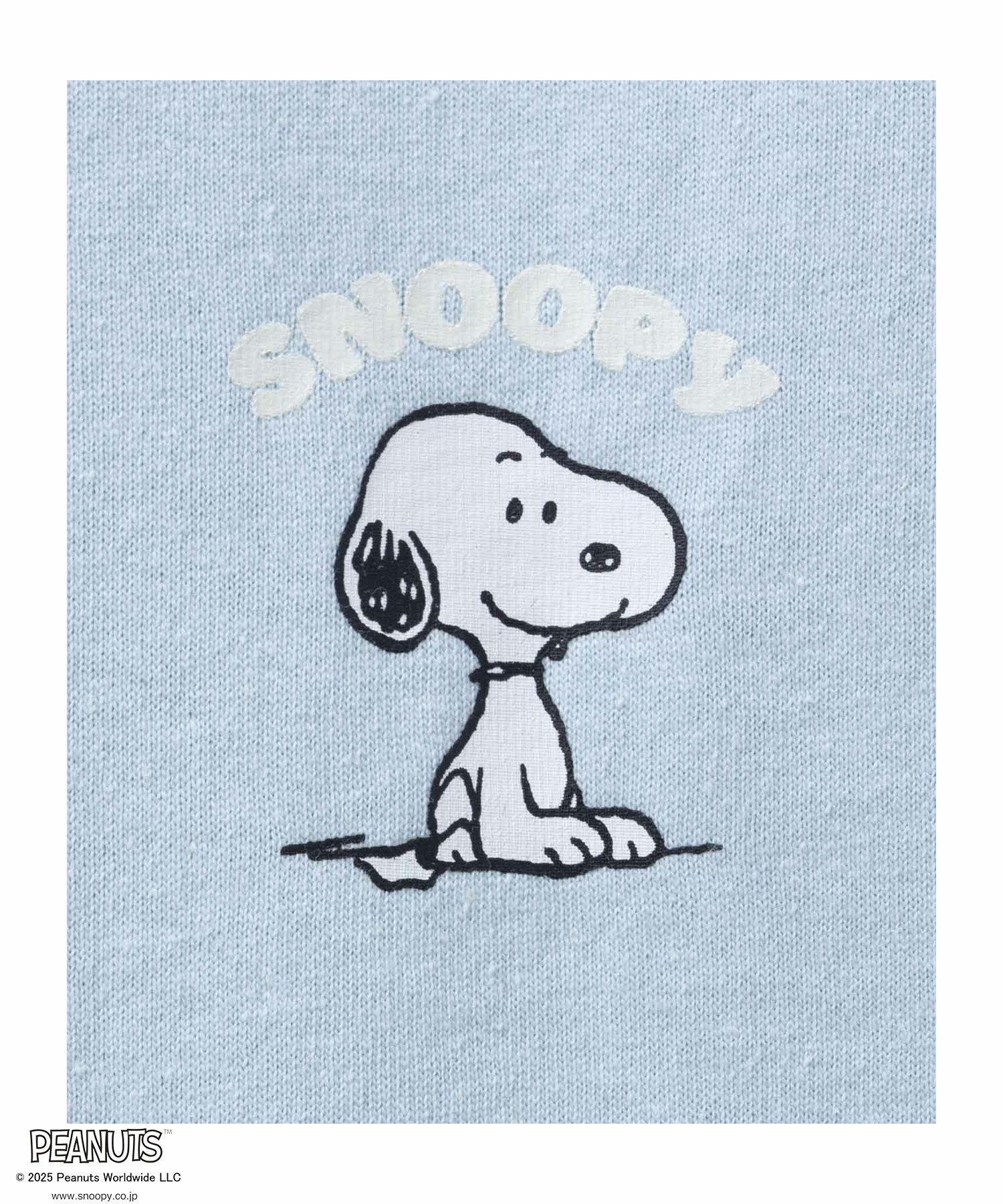 PEANUTS SNOOPY 刺繍プリントTシャツ レディース ネコポス 対応商品