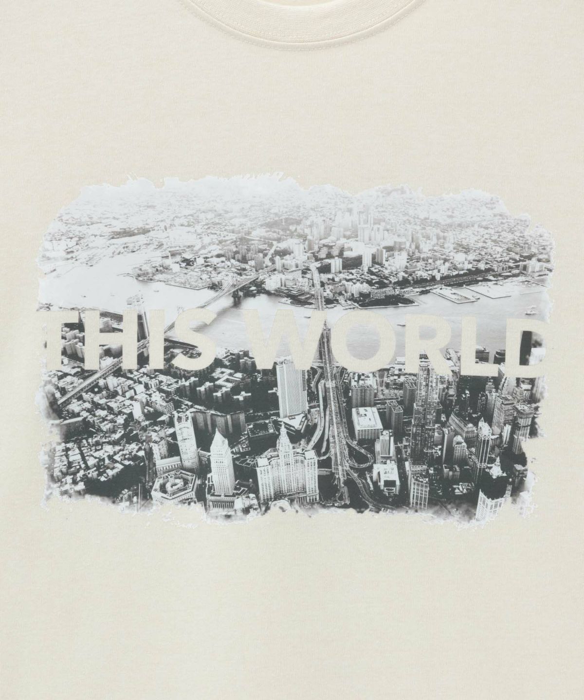 T-GRAPHICS フォトプリント半袖Tシャツ メンズ ネコポス 対応商品