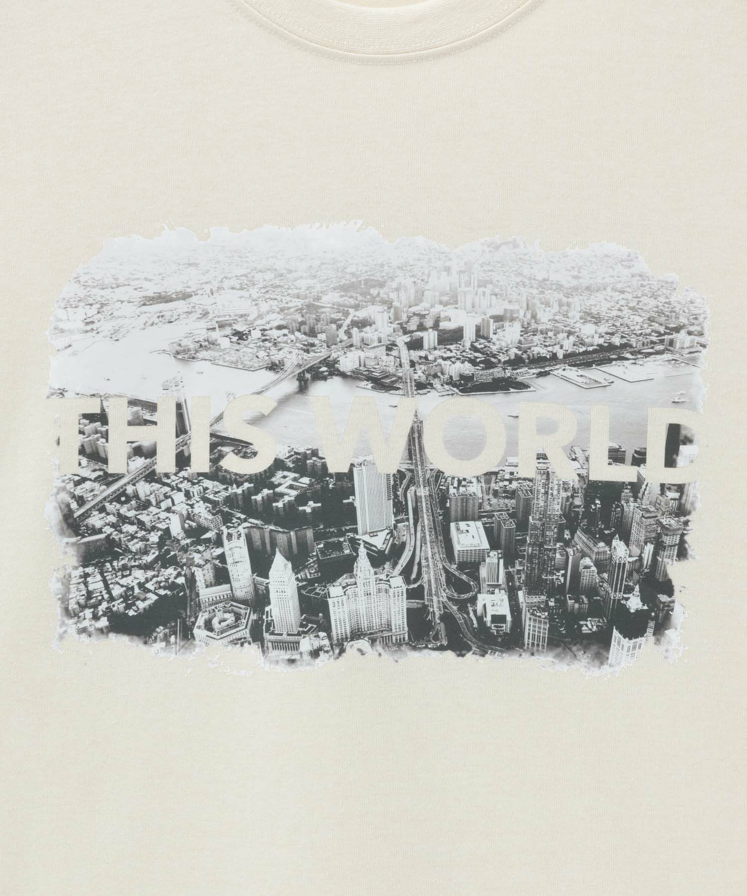 T-GRAPHICS フォトプリント半袖Tシャツ メンズ ネコポス 対応商品