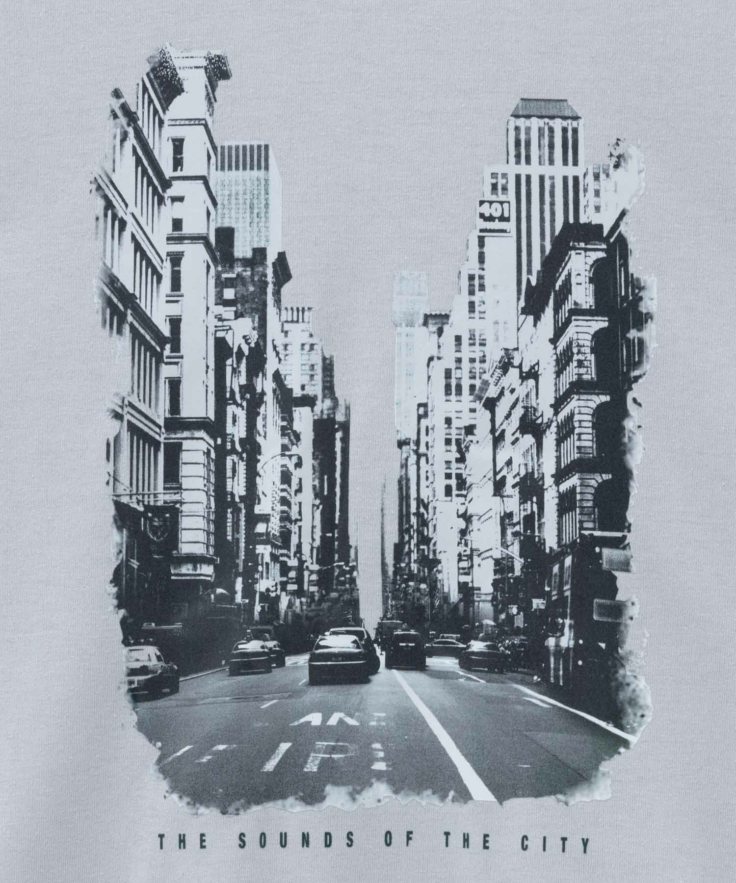 T-GRAPHICS フォトプリント半袖Tシャツ メンズ ネコポス 対応商品