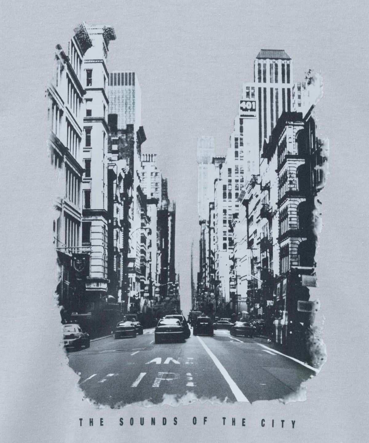 T-GRAPHICS フォトプリント半袖Tシャツ メンズ ネコポス 対応商品