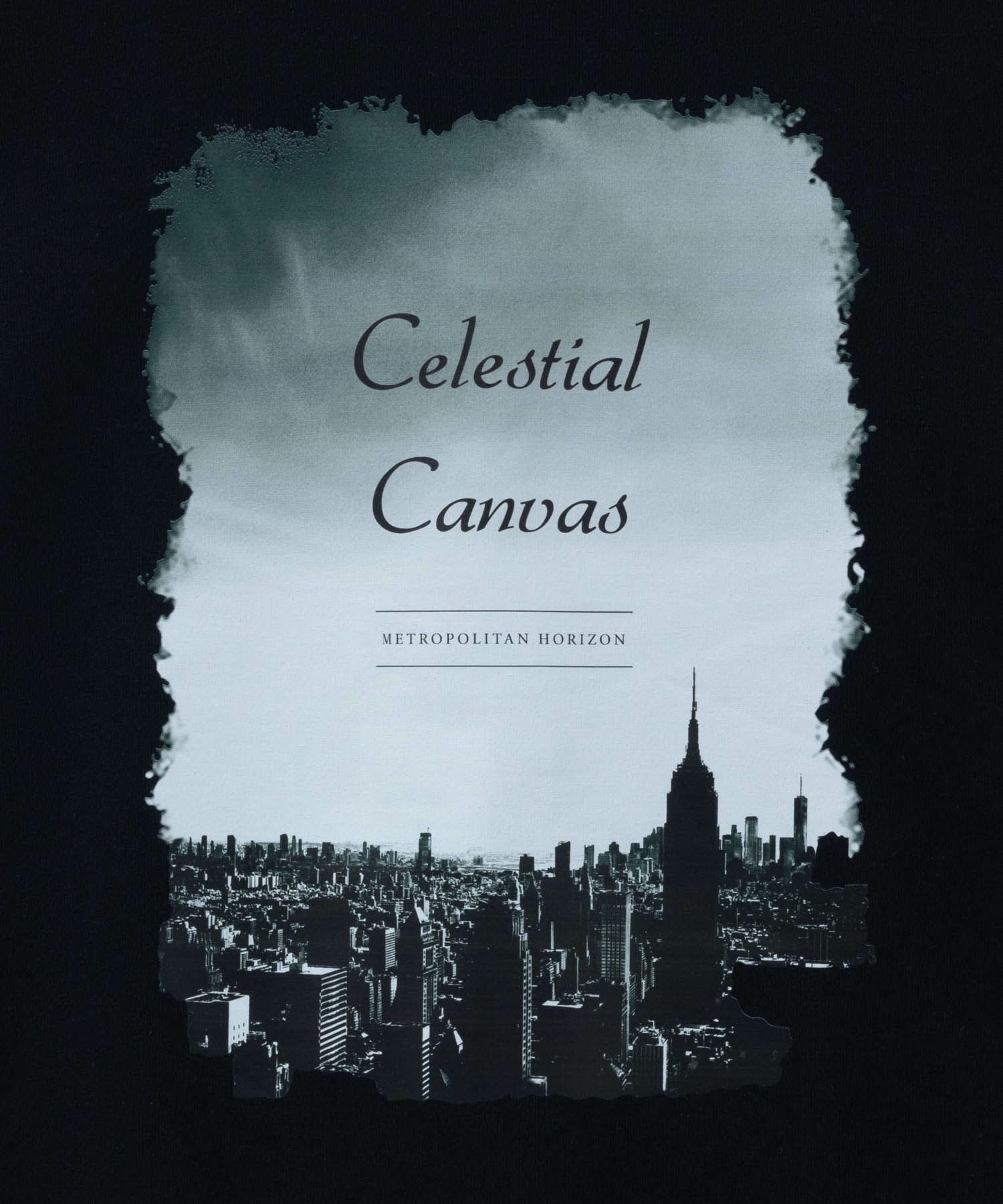 T-GRAPHICS  フォトプリント半袖Tシャツ メンズ メール便 対応商品商品画像-15