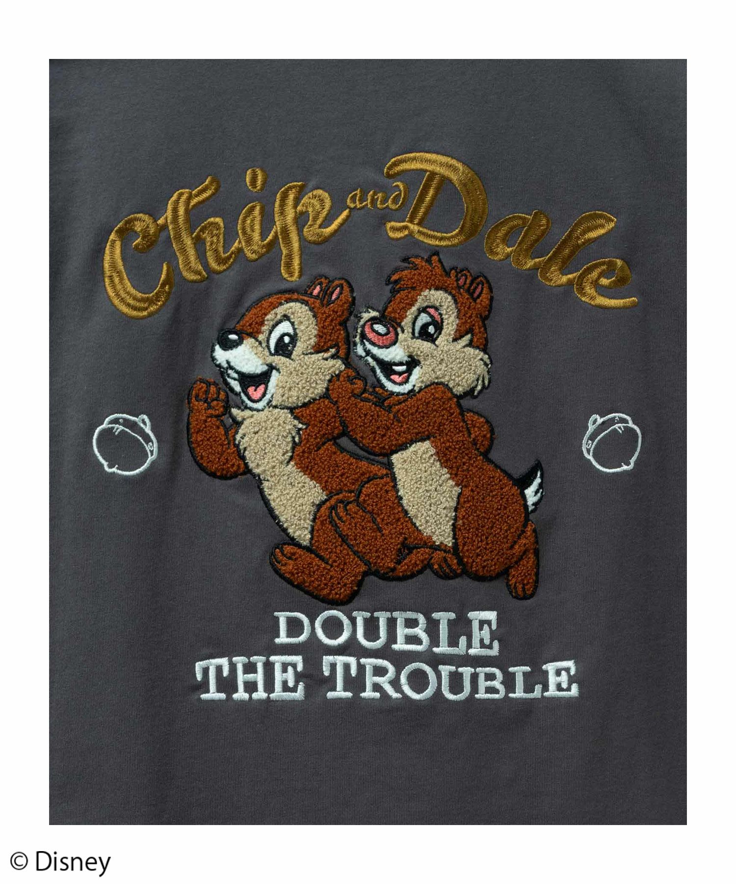 Disney ミッキーマウス チップ＆デール / サガラ刺繍Tシャツ レディース ネコポス 対応商品