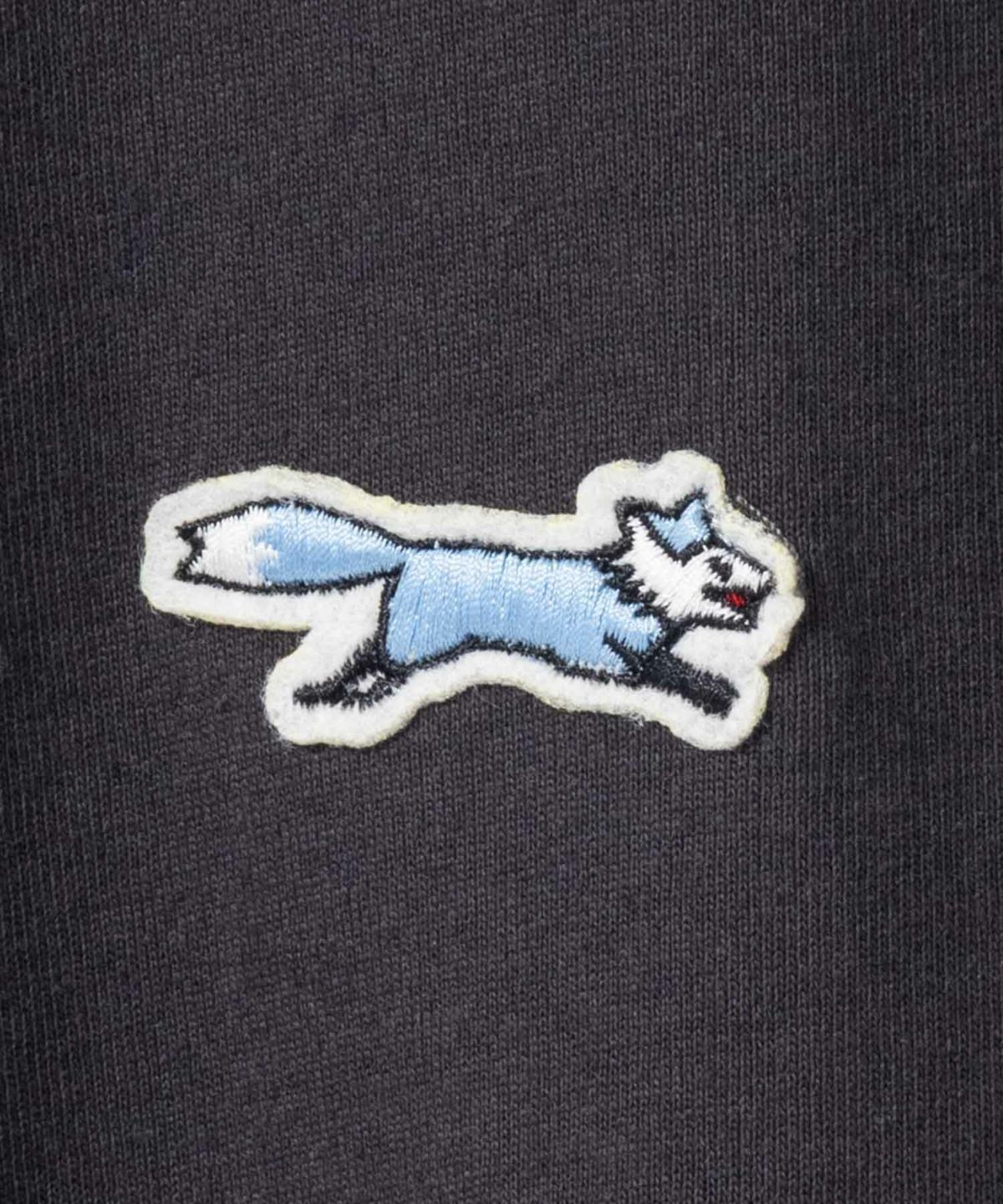 PENNEY'S ワンポイントTシャツ レディース ネコポス 対応商品